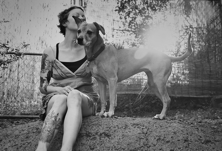 asheville animal photographer