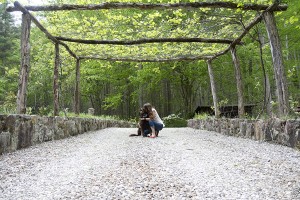 asheville pet photographer
