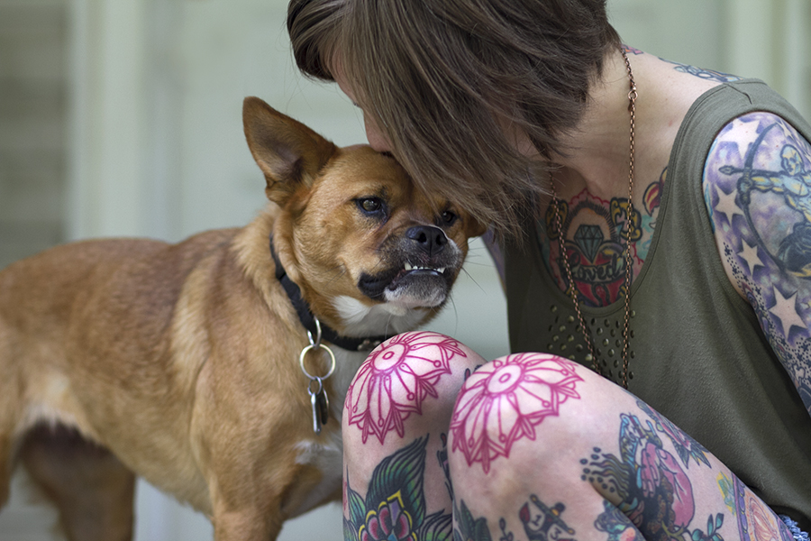 asheville dog photographer